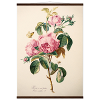 1393da8b-fa6d-4865-8a92-2a7159d020e0