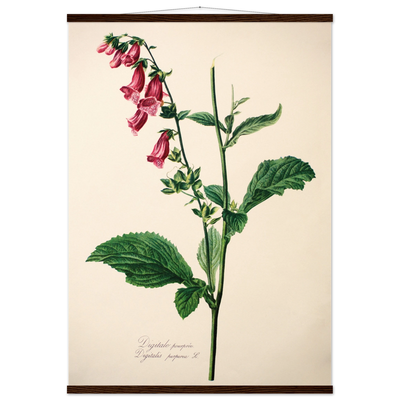 13dd4b4b-8f5c-4223-a3da-c100cf468524