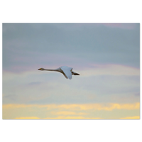 161261b0-43b1-4577-bc23-c3ee81be7cd7