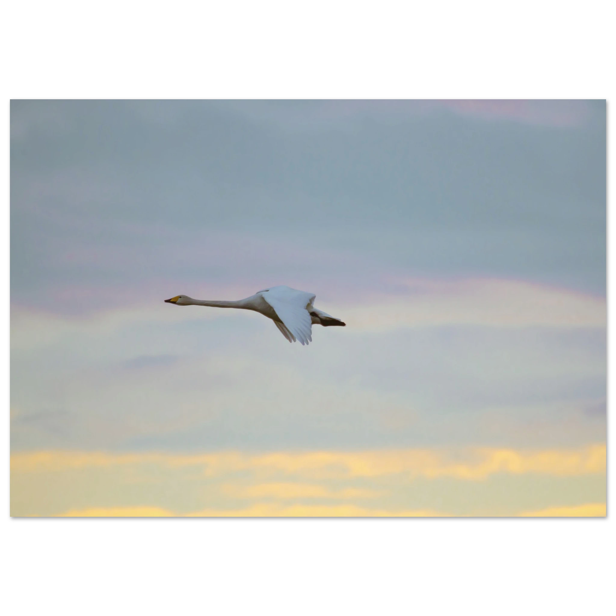 161261b0-43b1-4577-bc23-c3ee81be7cd7