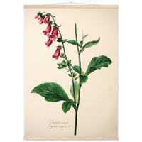 16299a8a-d749-481b-8935-44ded5323d90