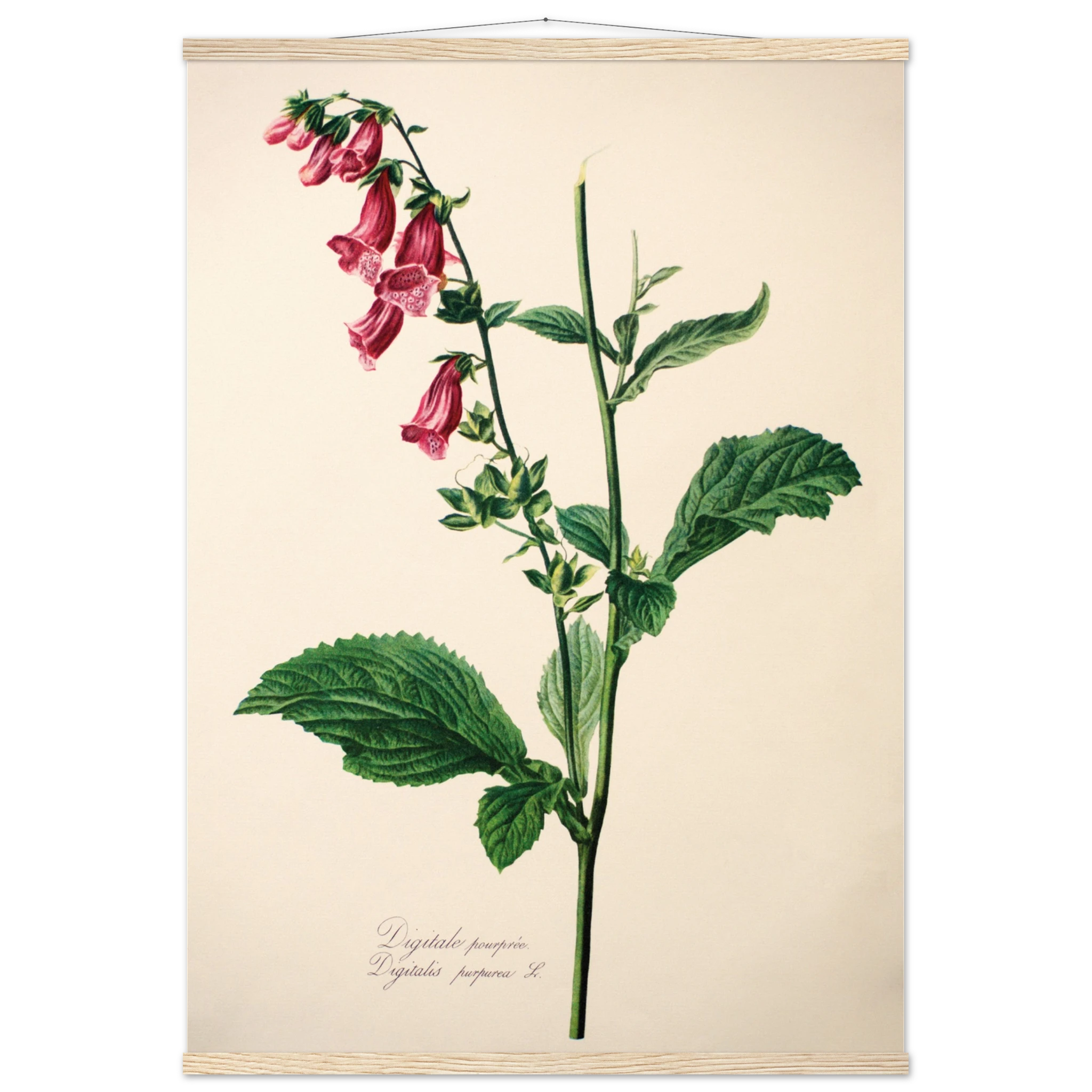 16299a8a-d749-481b-8935-44ded5323d90