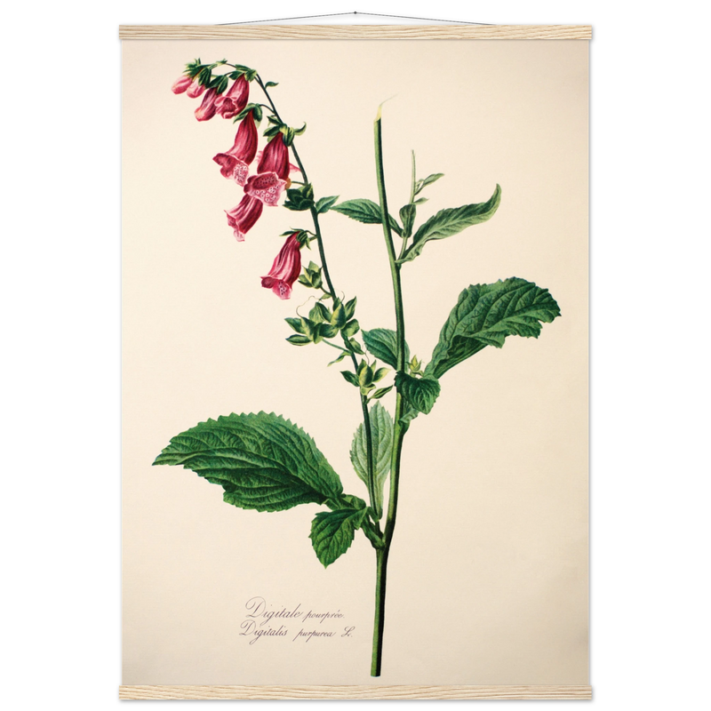 16299a8a-d749-481b-8935-44ded5323d90