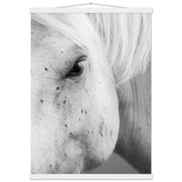 169885a7-340b-428e-90a1-7cb958ff5c56