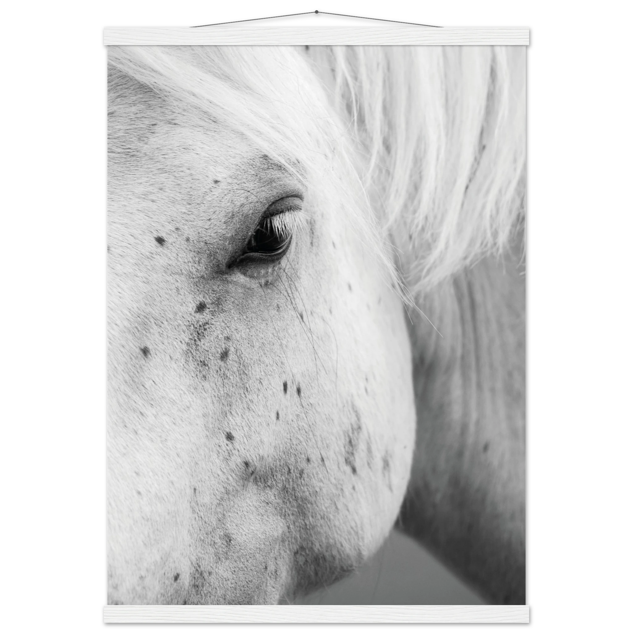 169885a7-340b-428e-90a1-7cb958ff5c56