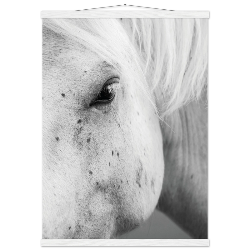 169885a7-340b-428e-90a1-7cb958ff5c56