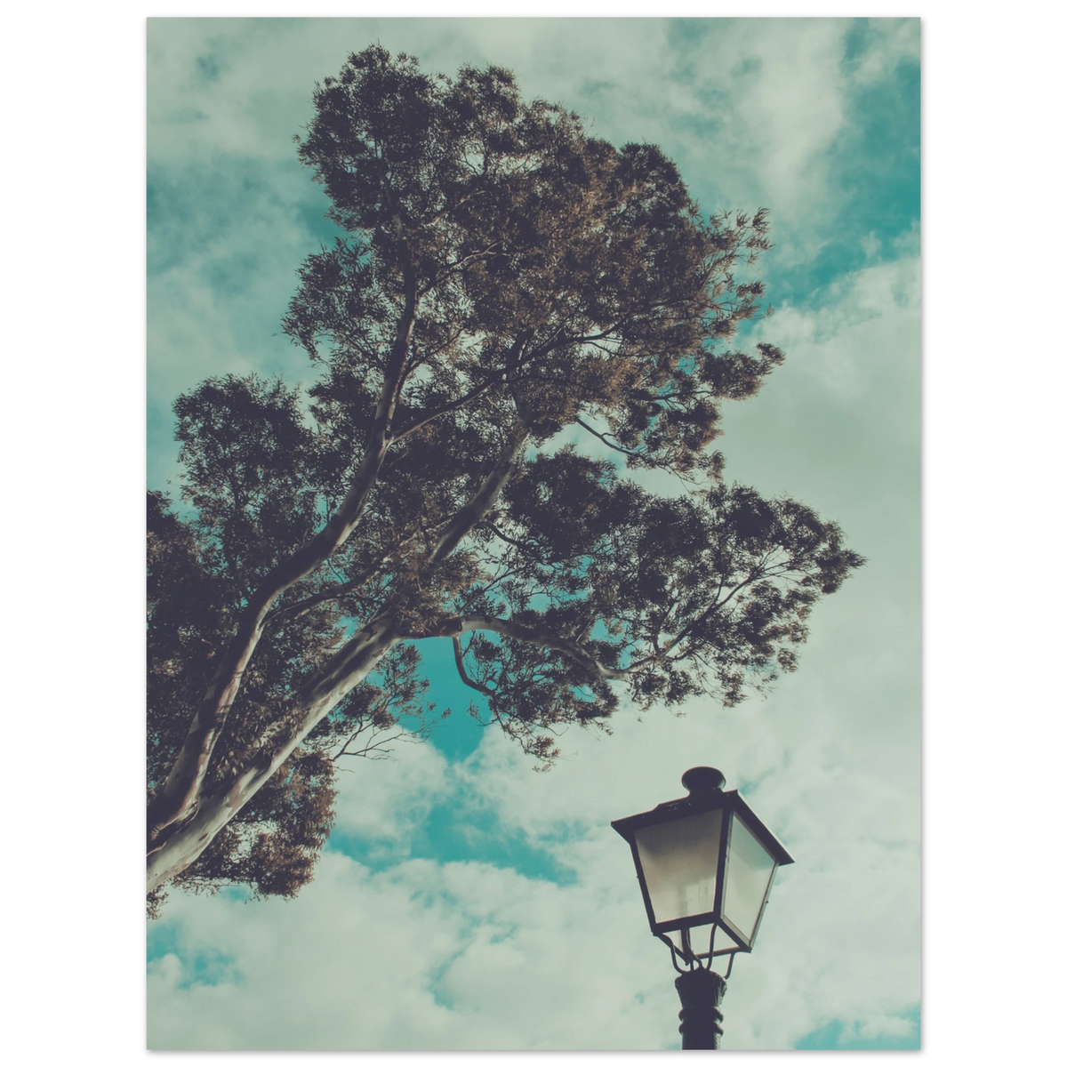 16c70c17-e629-4335-a1ba-d34db2d049e1