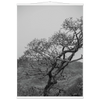 16dcb760-4b42-4cc3-a07a-ee6a4143ec55