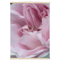 172d84e2-14f5-45c5-a7c8-af4965ade5d9