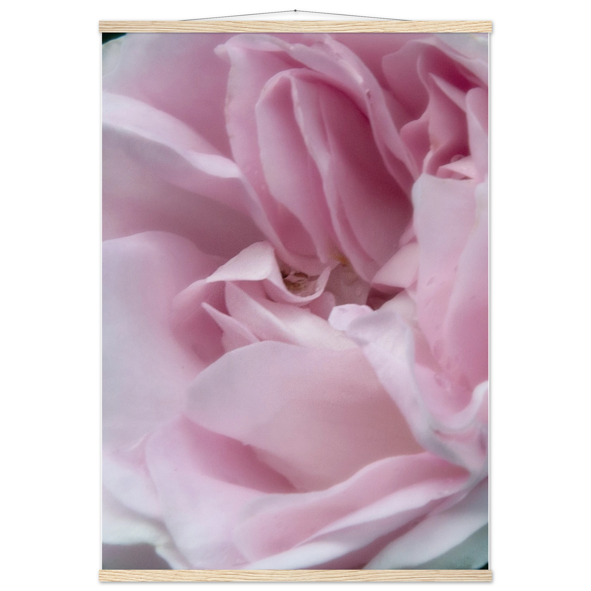 172d84e2-14f5-45c5-a7c8-af4965ade5d9