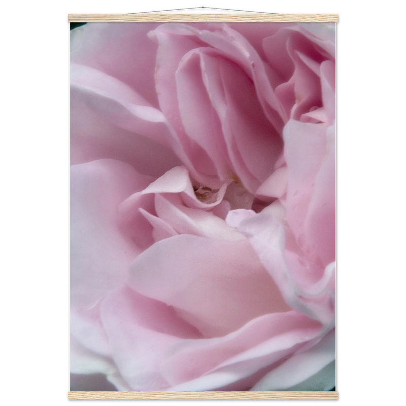 172d84e2-14f5-45c5-a7c8-af4965ade5d9