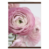 1744f133-8ce2-4c84-81f8-ced8af2e519c