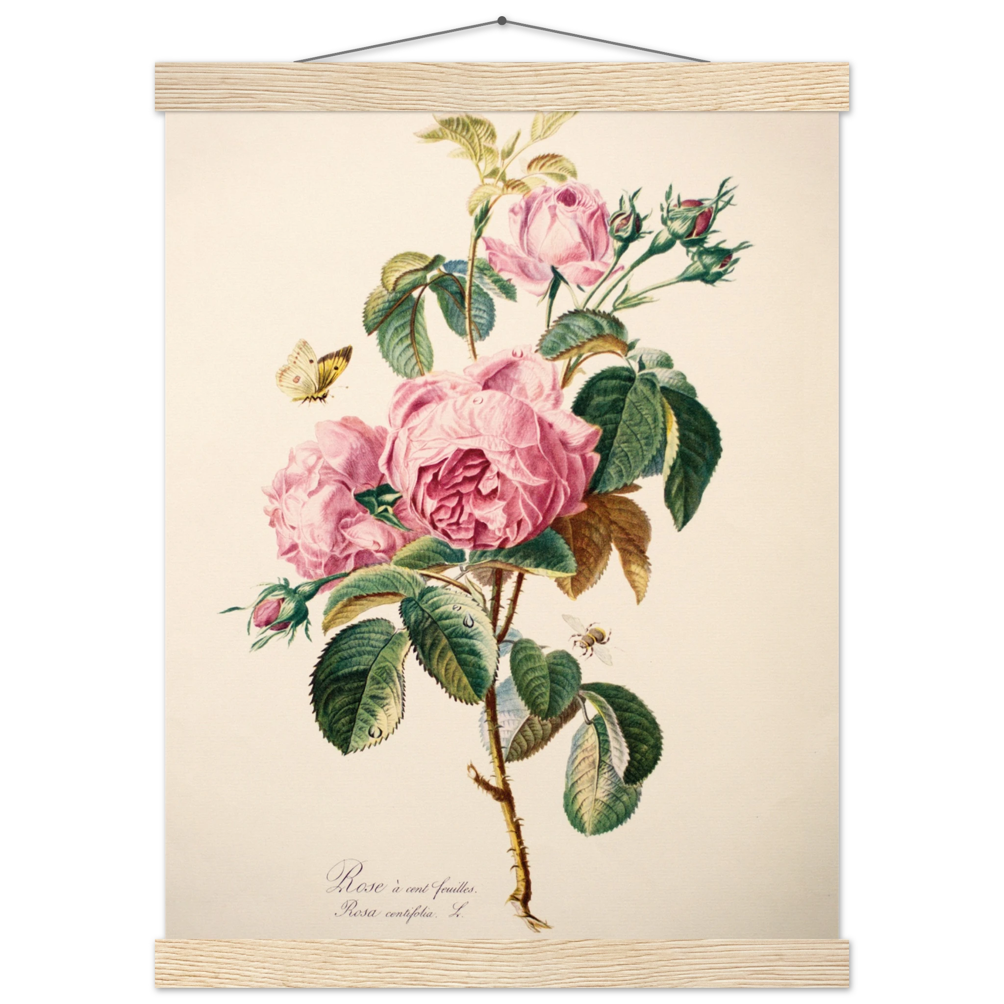 1752962a-0fa4-439d-aeaf-5b3a6883c44d