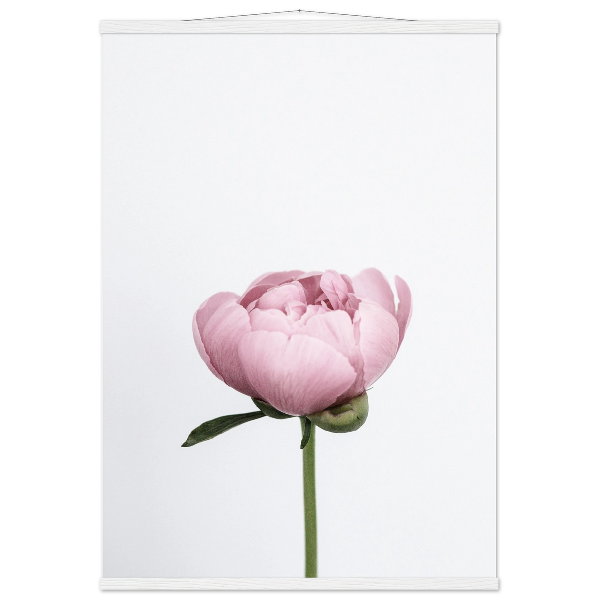 1a8d9af7-07be-4b03-b1b9-d6f1b1b28a82