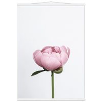 1a8d9af7-07be-4b03-b1b9-d6f1b1b28a82