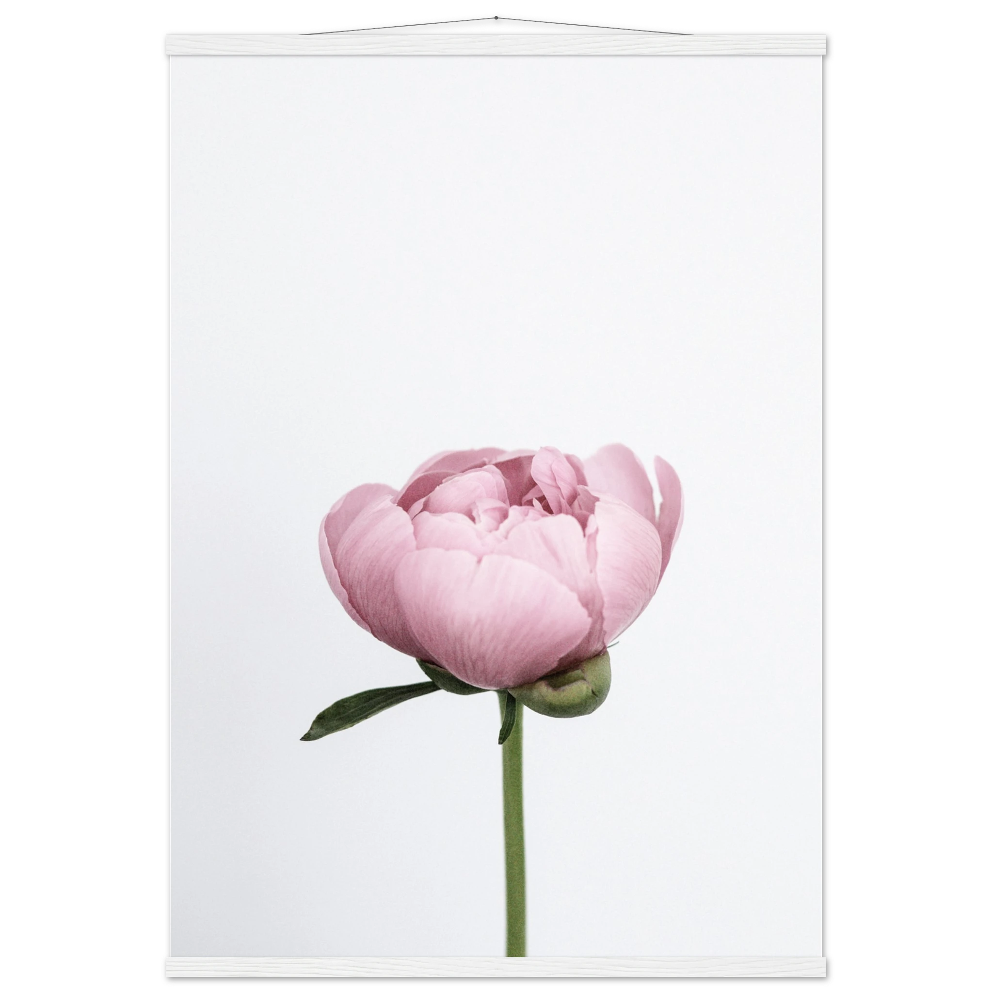 1a8d9af7-07be-4b03-b1b9-d6f1b1b28a82