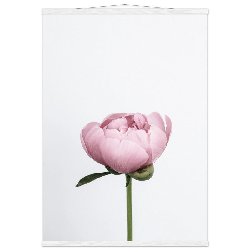 1a8d9af7-07be-4b03-b1b9-d6f1b1b28a82