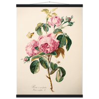 1b09ede1-bccd-4587-bb94-d407bdd6ed46