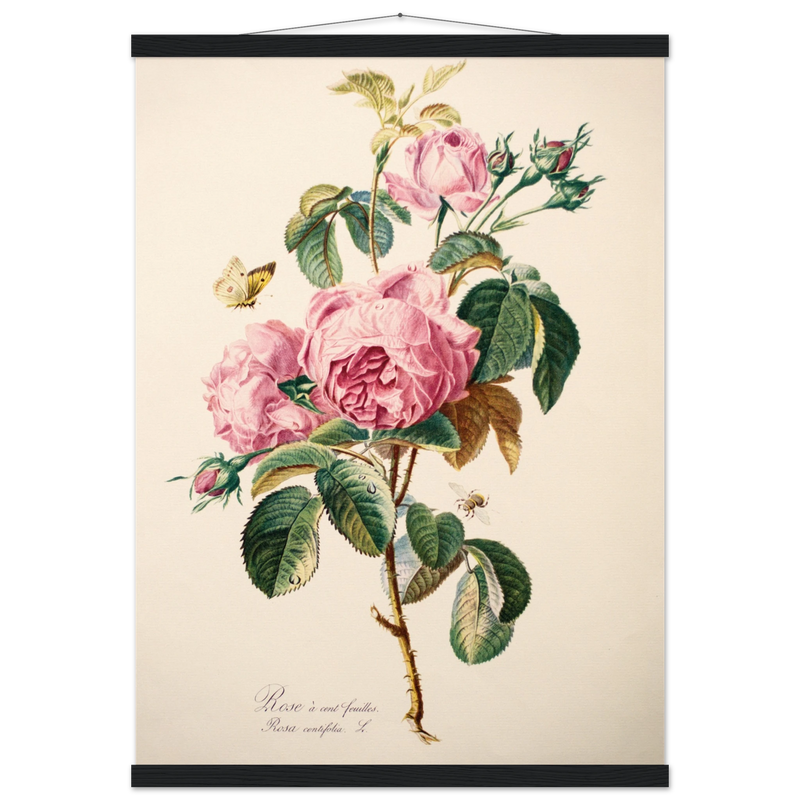 1b09ede1-bccd-4587-bb94-d407bdd6ed46