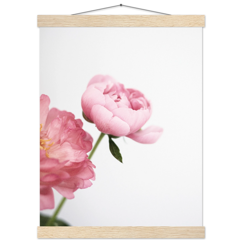 1b59b352-61ad-4cc1-9824-2af9ff07a210