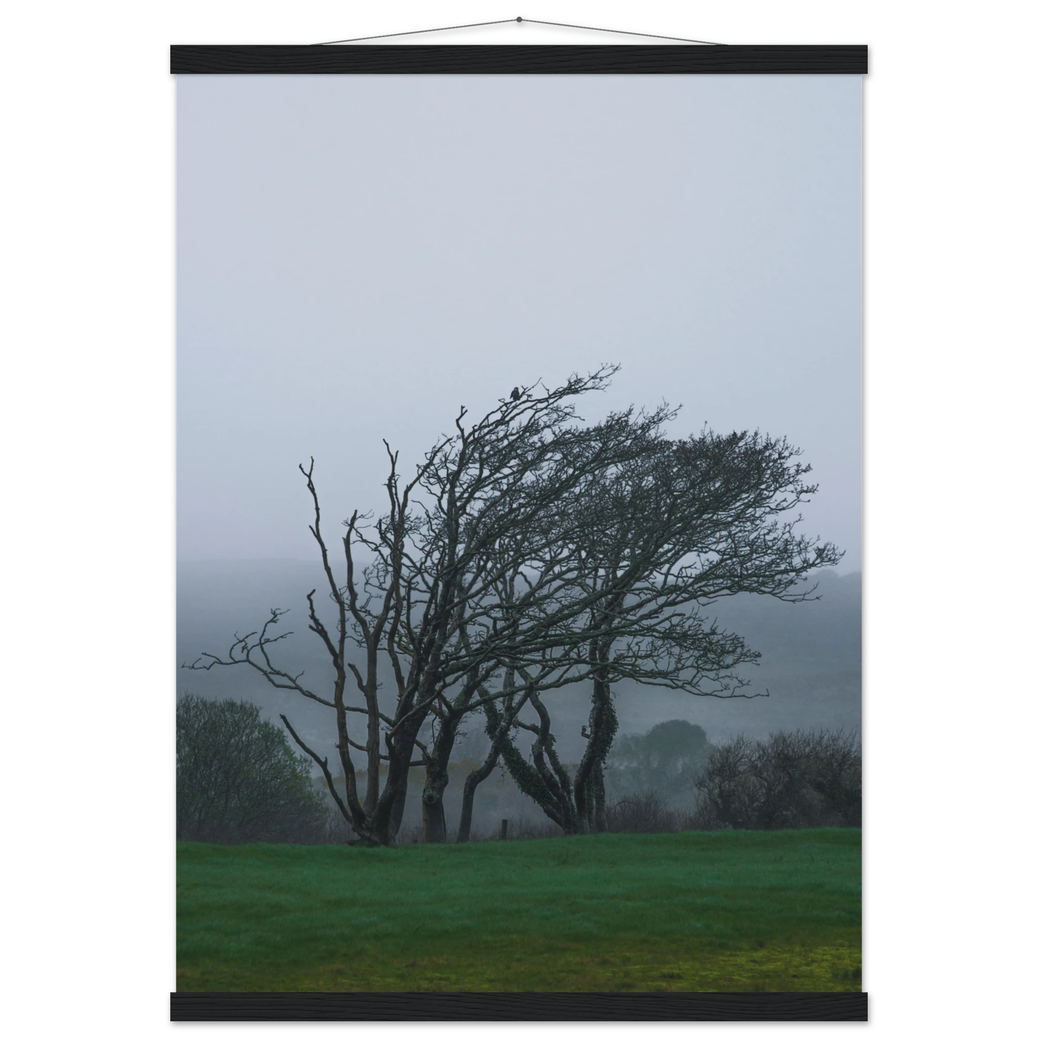 1b63815d-a816-47ee-91b7-5a95e6c4db76