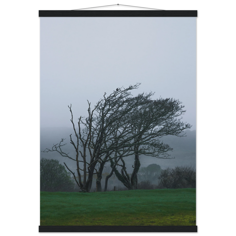 1b63815d-a816-47ee-91b7-5a95e6c4db76