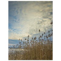 1bd60dcd-d34c-4e6e-972e-753e925f1d02