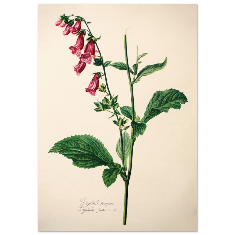 1c34daef-5739-4ed9-8308-052672657ce6