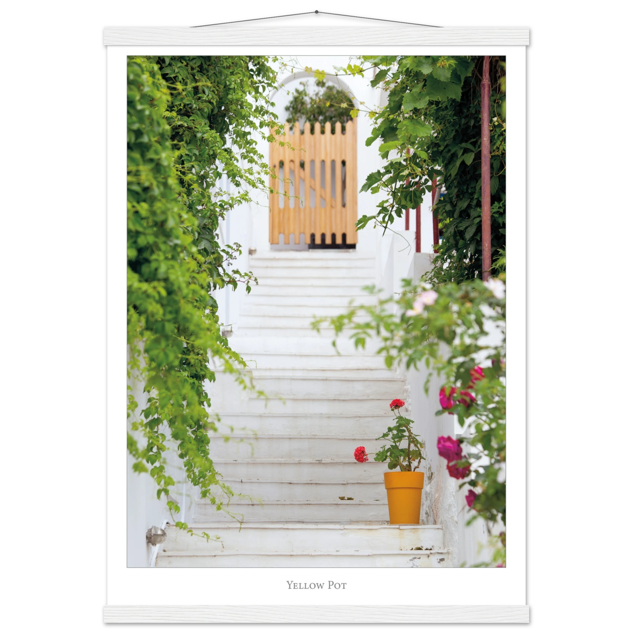 1c40a56f-53a4-4384-a1da-db7f5febc69c