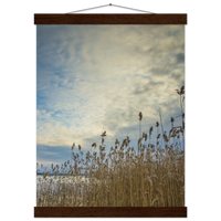 1c73f90e-1eaa-44e5-95b2-a5bcb438d81e