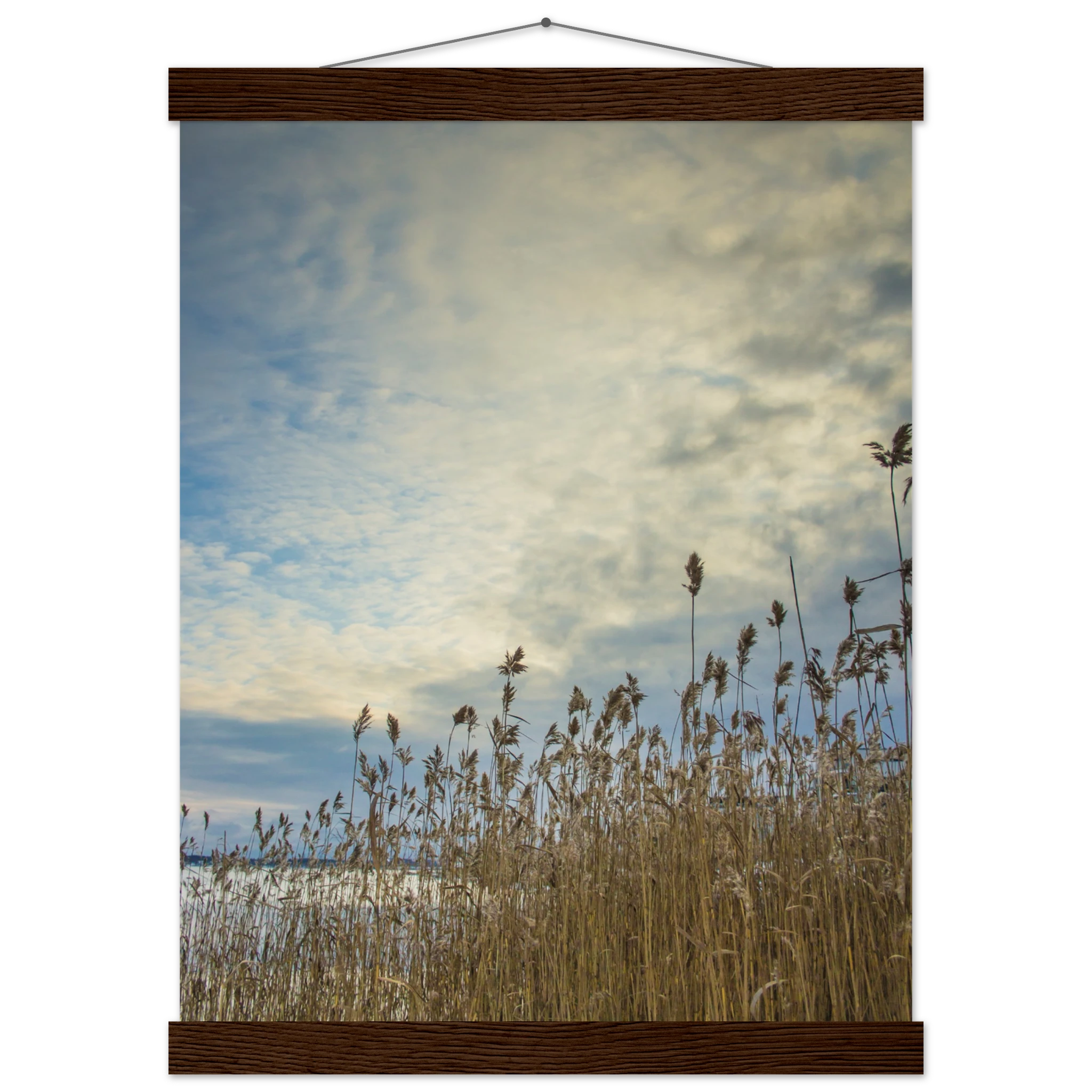 1c73f90e-1eaa-44e5-95b2-a5bcb438d81e