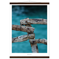 1ccec991-05d5-4d22-a11c-09d0d8158221