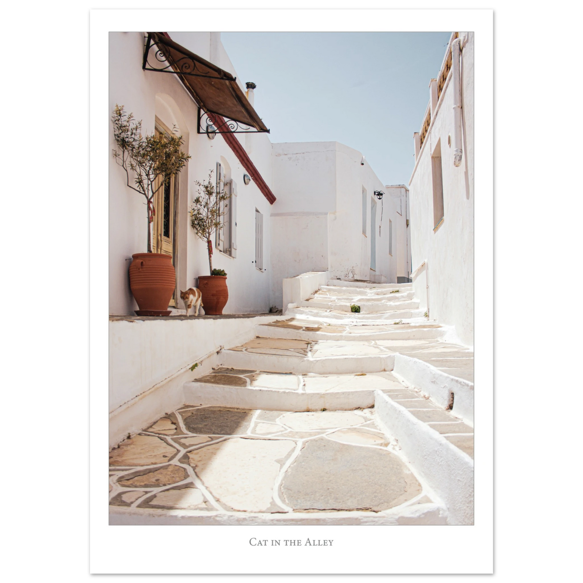 1ce75b16-ecf2-4aaf-b77b-a9ba4d6806f5