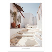 1ce75b16-ecf2-4aaf-b77b-a9ba4d6806f5