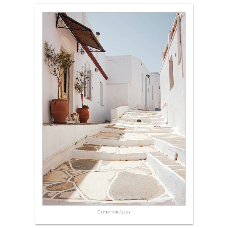 1ce75b16-ecf2-4aaf-b77b-a9ba4d6806f5