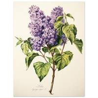 1d2e955b-6611-4184-9ec8-543f8129f7e4