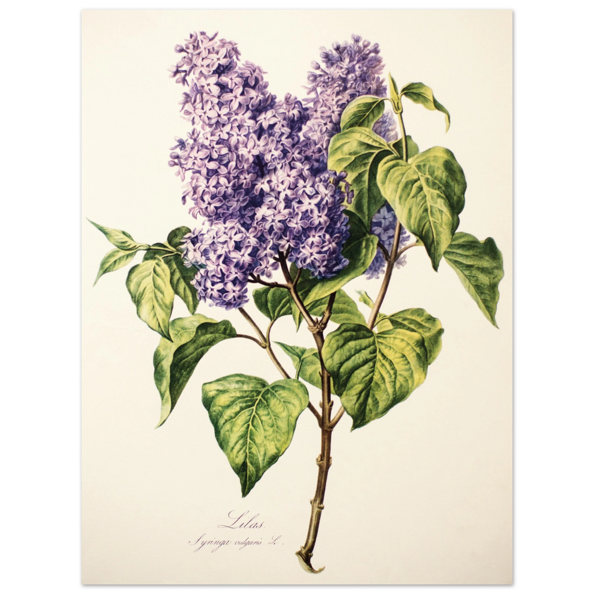 1d2e955b-6611-4184-9ec8-543f8129f7e4