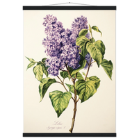 1de36b5f-5617-4eaa-bf1d-5b278555b6f3