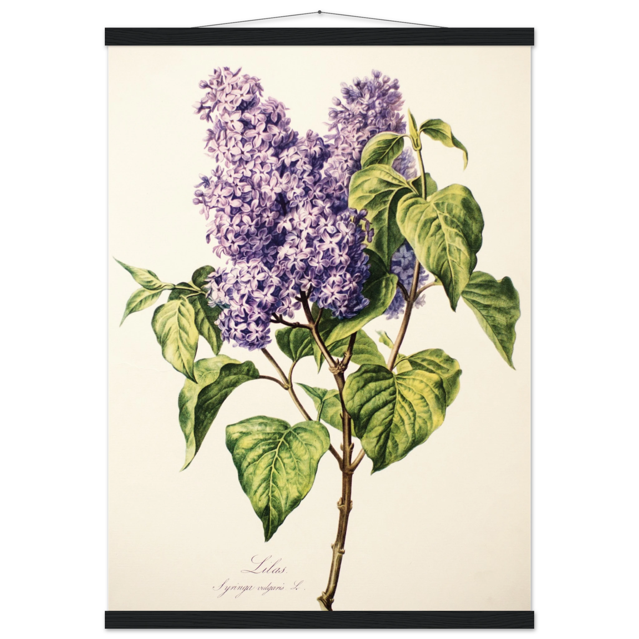 1de36b5f-5617-4eaa-bf1d-5b278555b6f3