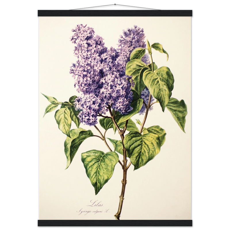 1de36b5f-5617-4eaa-bf1d-5b278555b6f3