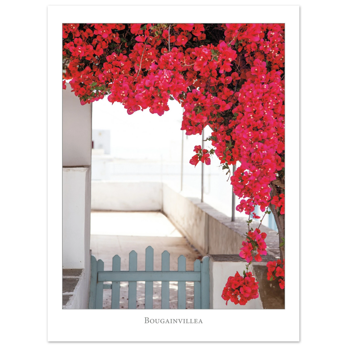 1e6a34a1-29d2-443c-be7c-4dd3d57d9794