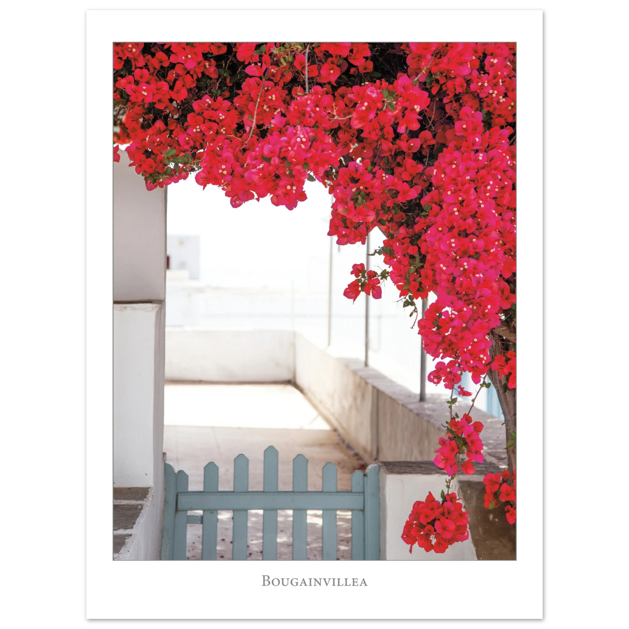 1e6a34a1-29d2-443c-be7c-4dd3d57d9794