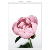 1f82893d-3eed-405b-a687-f2a93c8116a9