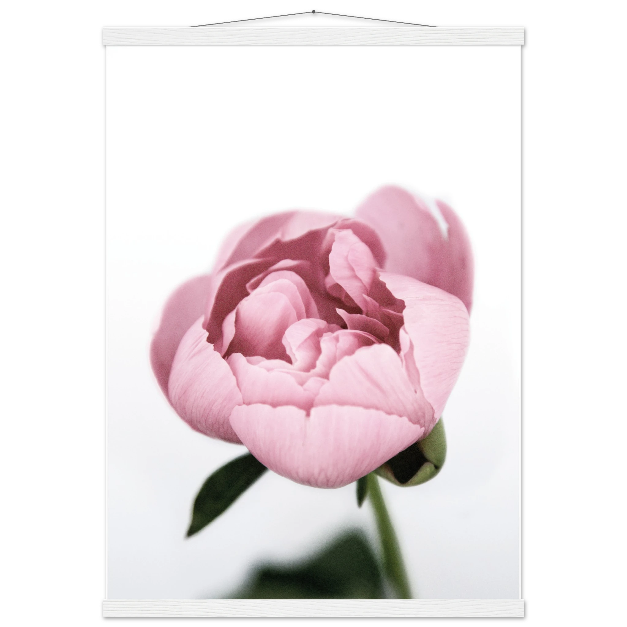 1f82893d-3eed-405b-a687-f2a93c8116a9