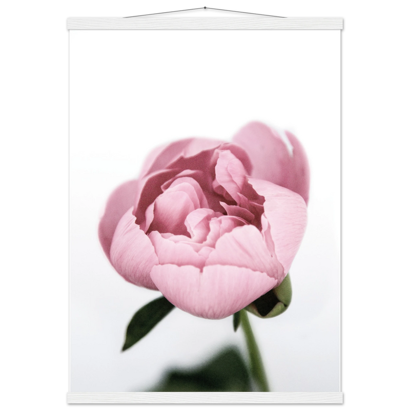 1f82893d-3eed-405b-a687-f2a93c8116a9