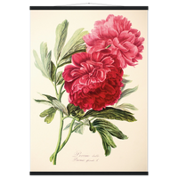 1fbcc964-e4aa-4a60-85cd-97782f4b81d1