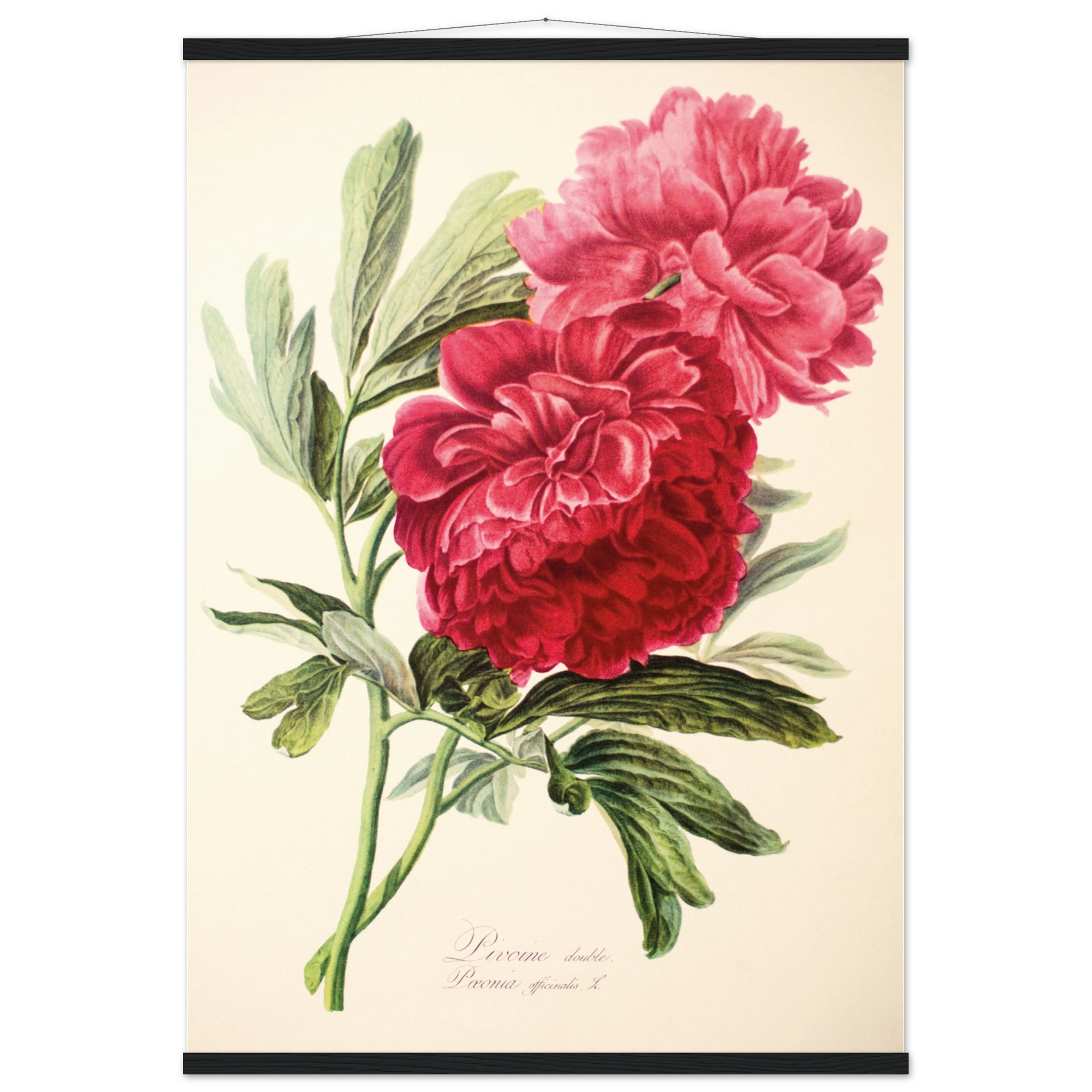 1fbcc964-e4aa-4a60-85cd-97782f4b81d1