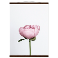 1fccc526-092d-46e3-8e9f-14cff50a3154