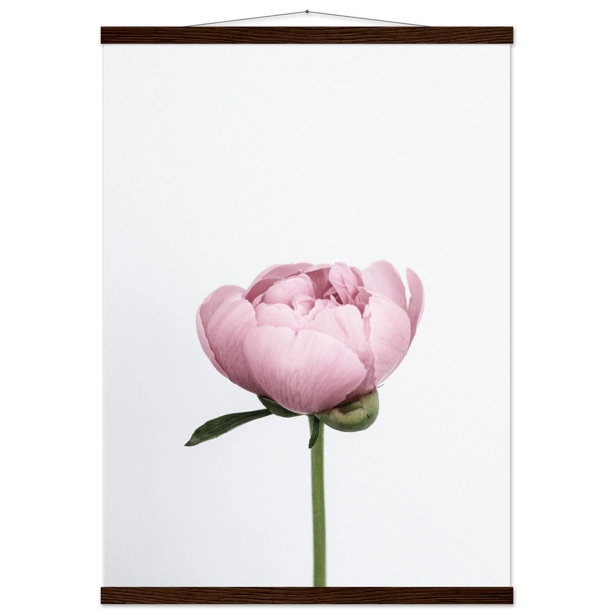 1fccc526-092d-46e3-8e9f-14cff50a3154