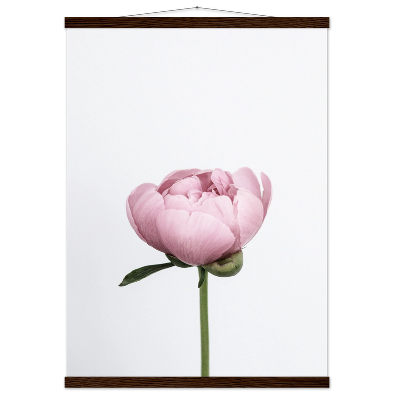 1fccc526-092d-46e3-8e9f-14cff50a3154